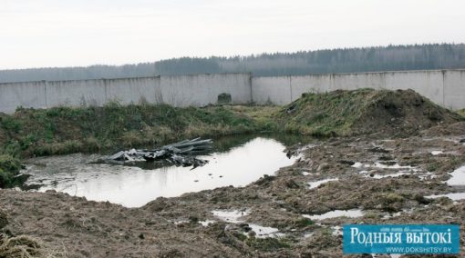 На задворках жывёлагадоўчага комплексу “Альхоўка”.