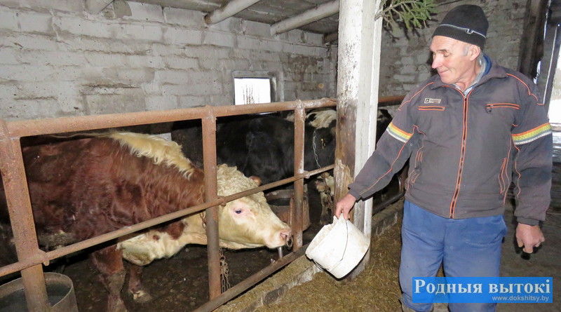 Доверие быка заслужить нелегко, утверждает оператор по доращиванию КРС Антон Гайкович.