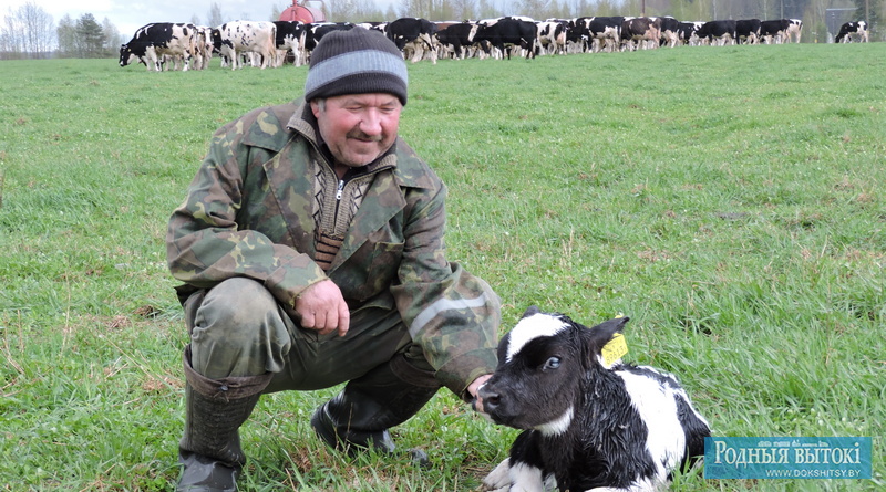 Михаил Драгун, как никто, знает: молоко у коровы на языке.