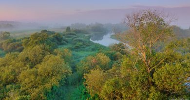 Березинский биосферный заповедник.