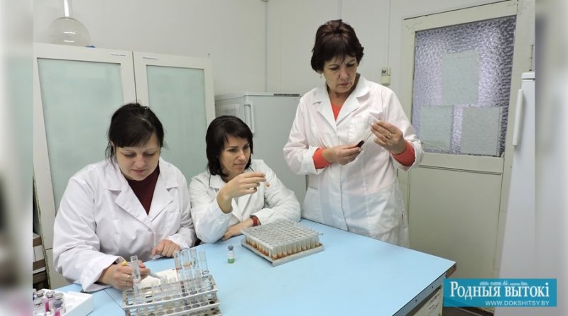 Реакцию на бруцеллез ставят (слева направо) лаборанты Елена Богданова, Екатерина Юнцевич и ветврач Марина Маринич.