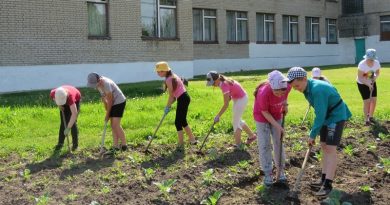 Пятиклассники работают как пчелки.