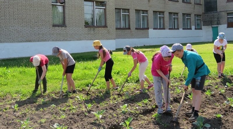 Пятиклассники работают как пчелки.