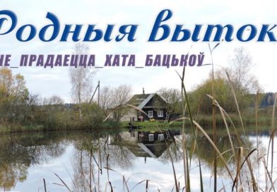 Докшичане Владимир и Евгения обустраивают родительский дом в Гнездилове
