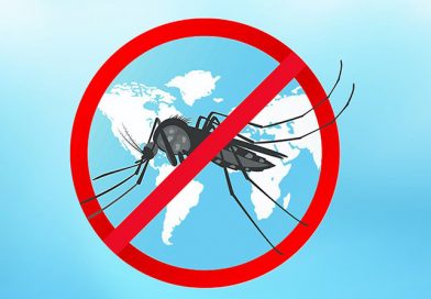25 апреля – Всемирный день борьбы с малярией