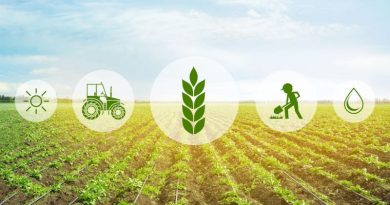 agritech_in_africa_cultivating_opportunities_for_ict_in_agriculture_2048x1403