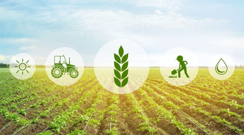 agritech_in_africa_cultivating_opportunities_for_ict_in_agriculture_2048x1403
