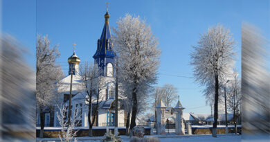 IMG_3972 с