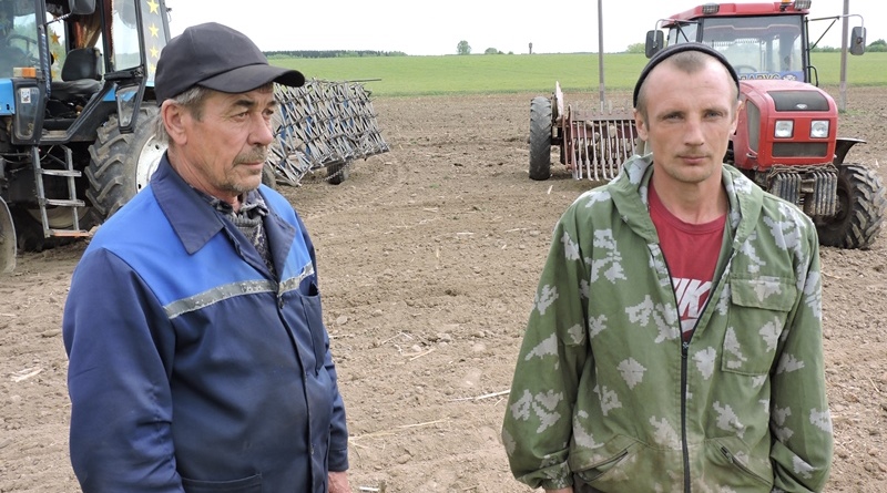 В Докшицком районе посевная кампания приближается к завершению
