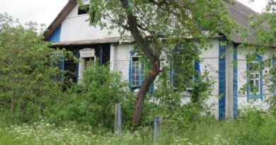 IMG_0008 с