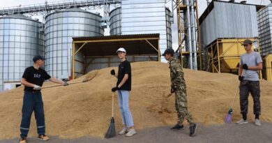 Працуюць студатрадаўцы.