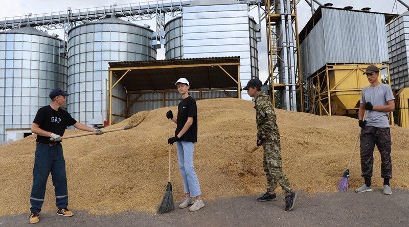 Працуюць студатрадаўцы.