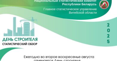 4. САЙТ Статистический обзор ко дню строителя (2025)