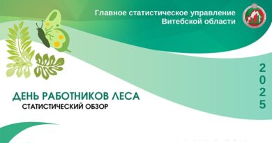 Витебск обзор, копия, копия, копия, копия, копия