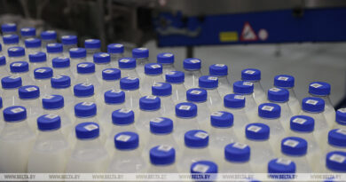 000021_1761892097_746139_big