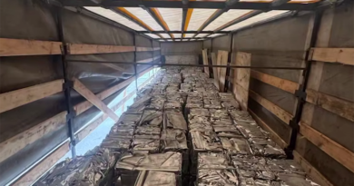 000023_1761483492_745143_big