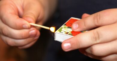 5495920181212150600 с