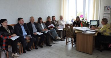 Заседание межведомственного совета по правам инвалидов состоялось в Докшицах Заседание межведомственного совета по правам инвалидов состоялось в Докшицах