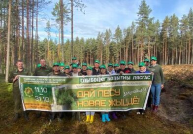 Депутат Палаты представителей Анатолий Сивко принял участие в посадке леса в Докшицком районе