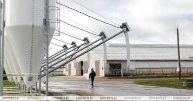 000022_1762431540_747358_big