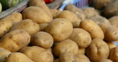 c1b800133307aee08f7798438d02de30 с