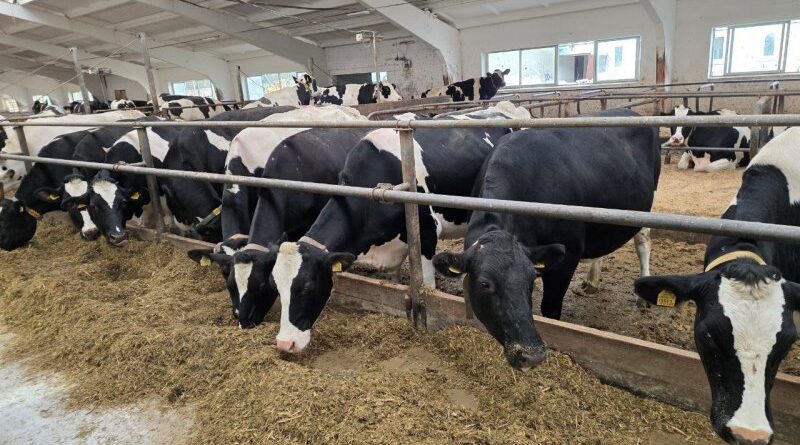 photo_2025-10-30_13-24-32