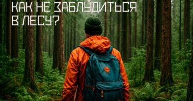 photo_2025-11-18_11-42-4с