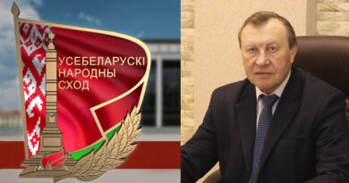 Мисаченко ВНС