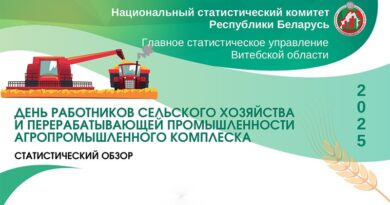 Витебск обзор, копия, копия, копия, копия, копия