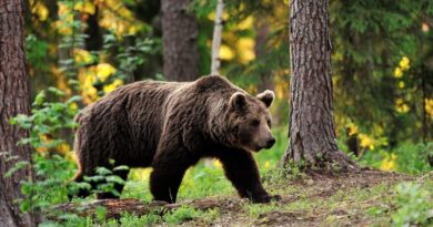 Иллюстративное фото