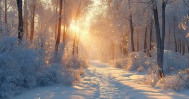 360_F_1008182662_g7gEp с