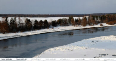 000022_1767609159_757355_big