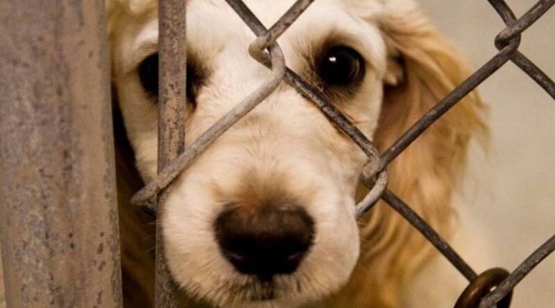 1622029694_b613cf7116c