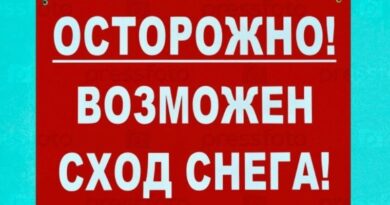 1689064797_kartin-papik-pro-p-kartinki-ostorozhno-skhod-snega-s-krishi-9