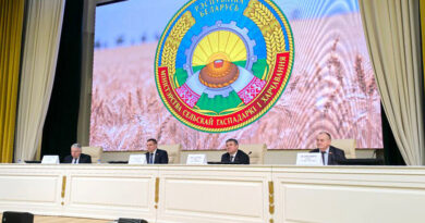 000021_1772022725_766353_big