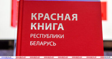 000022_1772102098_766529_big