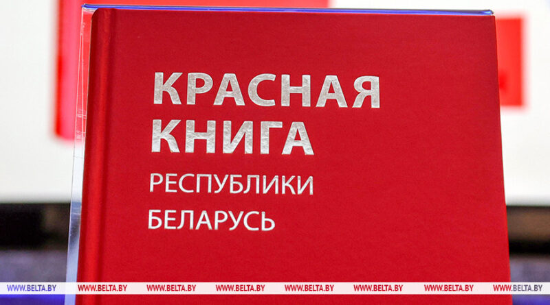 000022_1772102098_766529_big