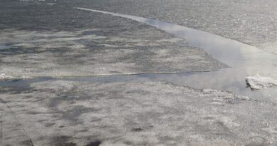 000023_1704957220_609334_big-768x429