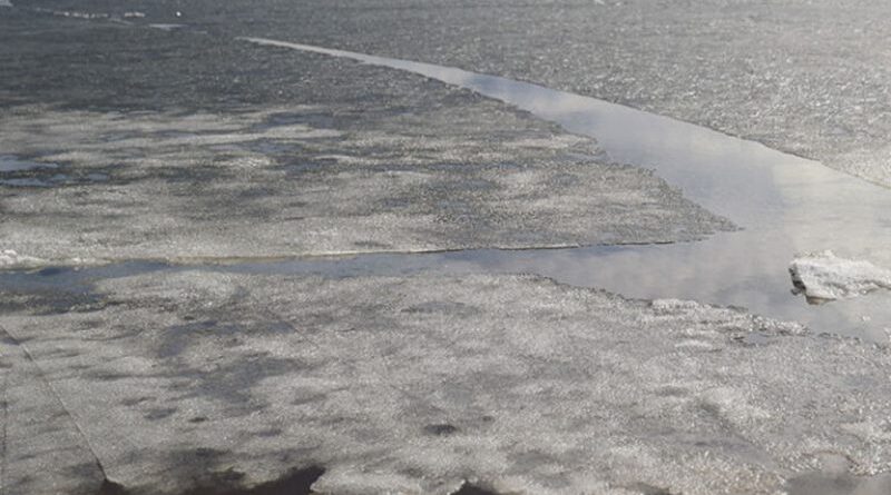 000023_1704957220_609334_big-768x429