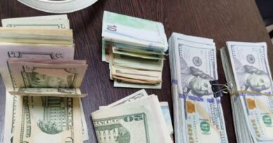 Скриншот видео ГУВД Мингорисполкома