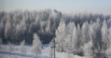 1280px-Морозный_день_-_panoramio