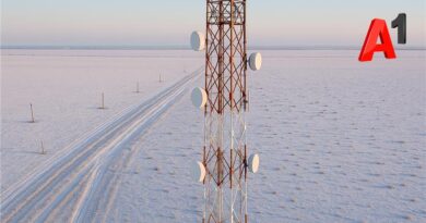 Designer (31) Logo с