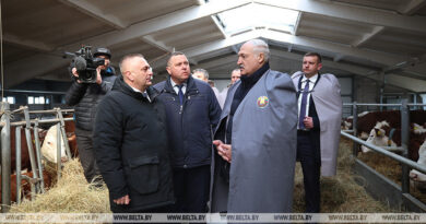 000019_1773387784_769370_big