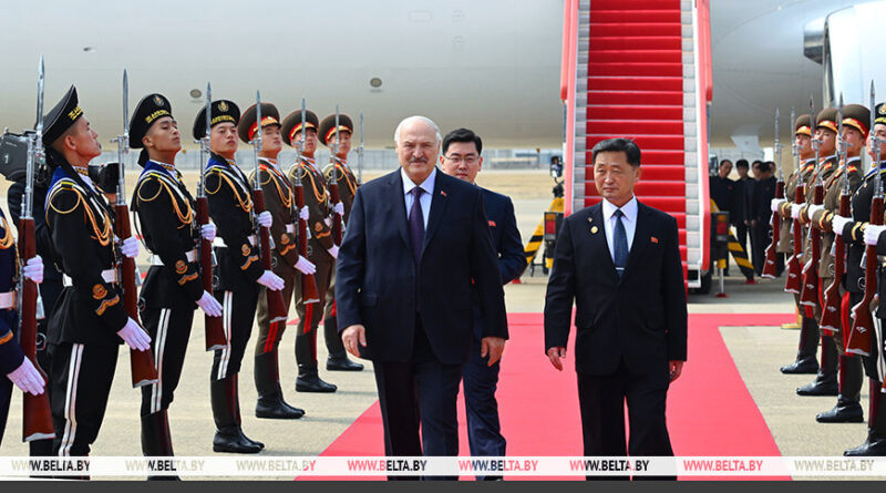 000019_1774414977_771639_big