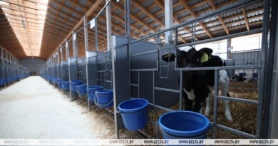 000021_1773912125_770543_big