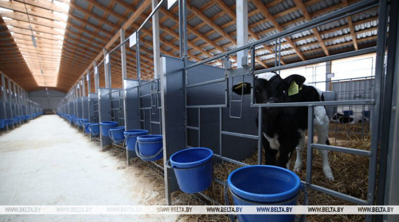 000021_1773912125_770543_big