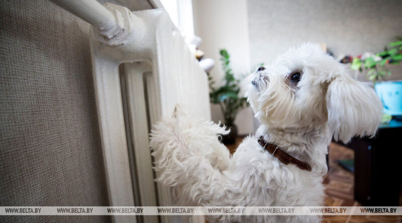 000022_1773072167_768554_big