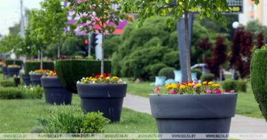 000022_1773138399_768670_big