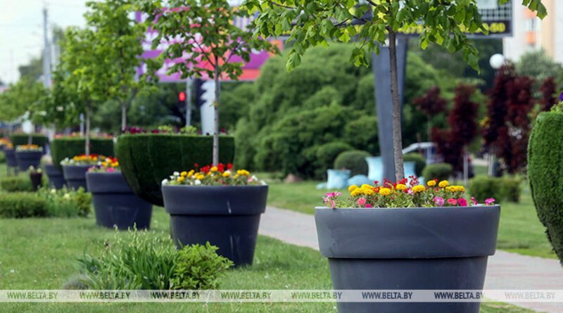 000022_1773138399_768670_big