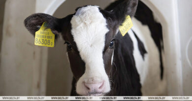 000022_1773327739_769253_big